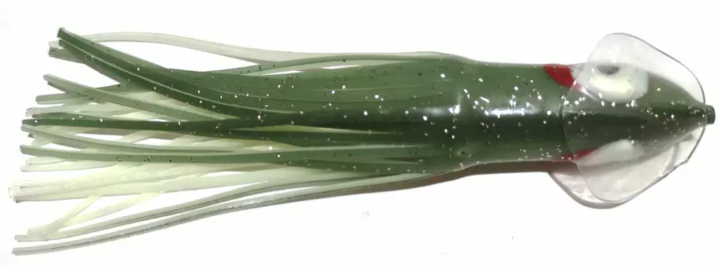 NORTH PACIFIC CUTTLEFISH AM39R 1 NORTH PACIFIC CUTTLEFISH AM39R