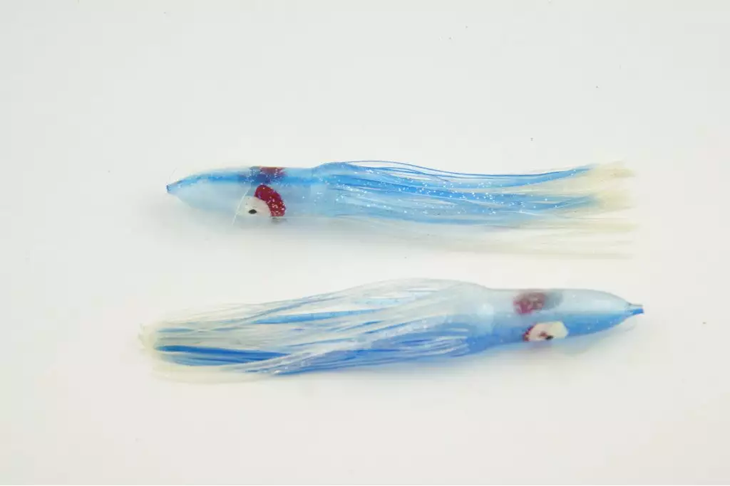 NORTH PACIFIC CUTTLEFISH B47 1 NORTH PACIFIC CUTTLEFISH B47