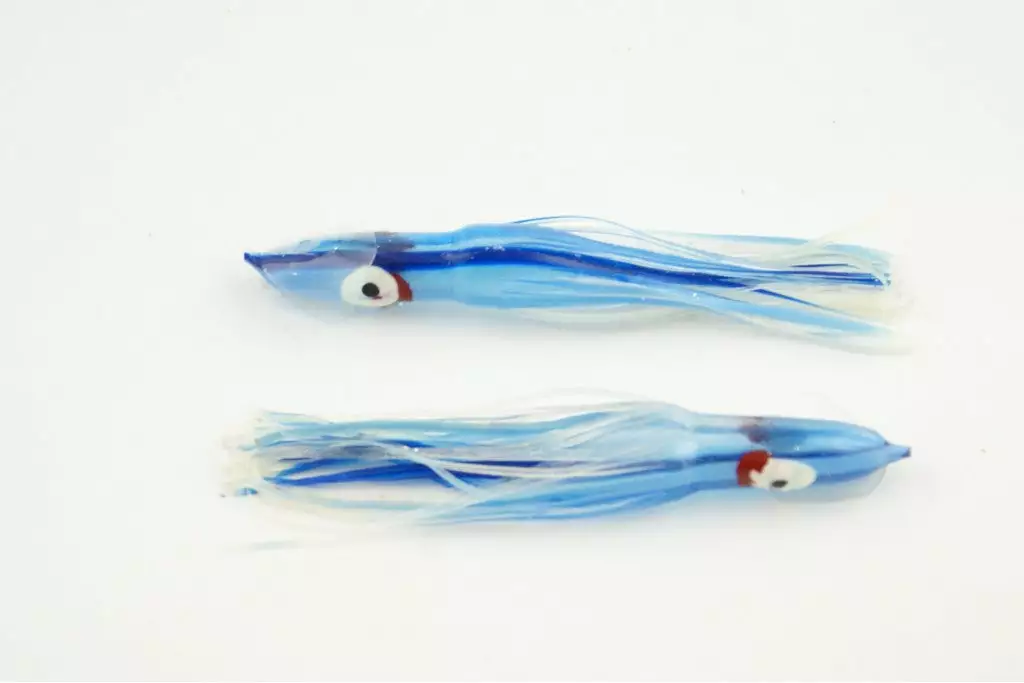 NORTH PACIFIC CUTTLEFISH B48 1 NORTH PACIFIC CUTTLEFISH B48