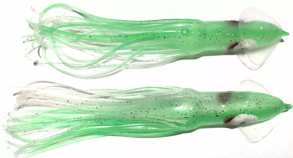 NORTH PACIFIC CUTTLEFISH G22 1 NORTH PACIFIC CUTTLEFISH G22