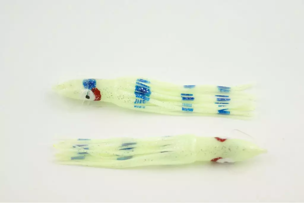 NORTH PACIFIC CUTTLEFISH GBO79R 1 NORTH PACIFIC CUTTLEFISH GBO79R