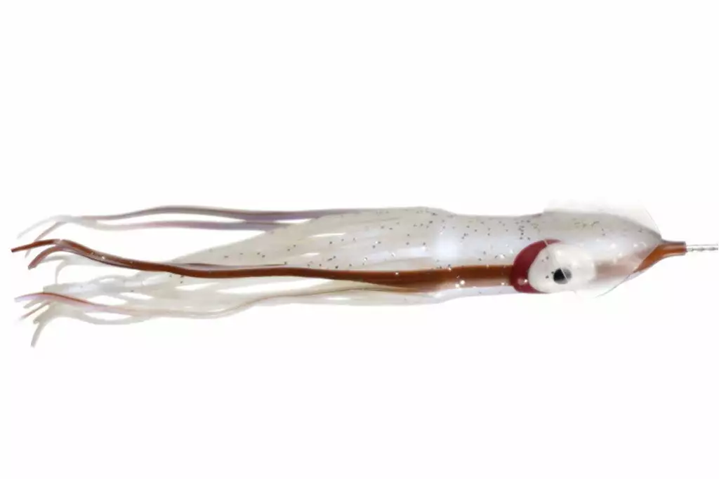 NORTH PACIFIC CUTTLEFISH GBOA12OS 1 NORTH PACIFIC CUTTLEFISH GBOA12OS