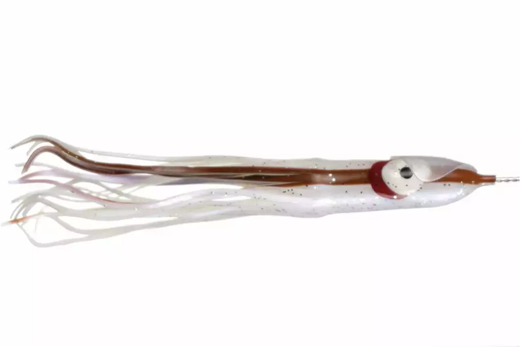 NORTH PACIFIC CUTTLEFISH GBOA12OS 2 NORTH PACIFIC CUTTLEFISH GBOA12OS