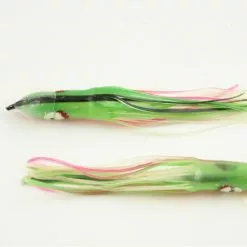 NORTH PACIFIC CUTTLEFISH GBOC105R