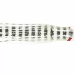 NORTH PACIFIC CUTTLEFISH YS47