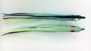 Hoochies NORTH PACIFIC NEEDLE FISH B50L 1 Hoochies NORTH PACIFIC NEEDLE FISH B50L