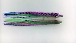 Hoochies NORTH PACIFIC NEEDLE FISH AS17R 1 Hoochies NORTH PACIFIC NEEDLE FISH AS17R