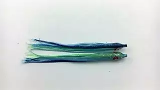 Hoochies NORTH PACIFIC NEEDLE FISH B148 1 Hoochies NORTH PACIFIC NEEDLE FISH B148