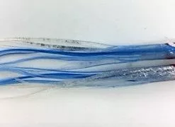 NORTH PACIFIC NEEDLE FISH B46