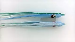 Hoochies NORTH PACIFIC NEEDLE FISH B47 1 Hoochies NORTH PACIFIC NEEDLE FISH B47