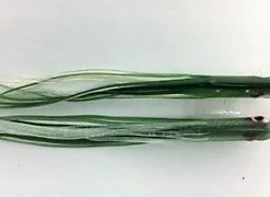 Hoochies NORTH PACIFIC NEEDLE FISH G81