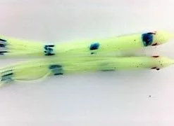 NORTH PACIFIC NEEDLE FISH GBO79