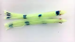 NORTH PACIFIC NEEDLE FISH GBO79 1 NORTH PACIFIC NEEDLE FISH GBO79