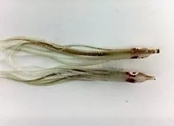 Hoochies NORTH PACIFIC NEEDLE FISH M89