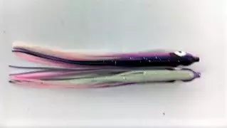 NORTH PACIFIC NEEDLE FISH OG138R 1 NORTH PACIFIC NEEDLE FISH OG138R