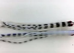 Hoochies NORTH PACIFIC NEEDLE FISH YS47OA