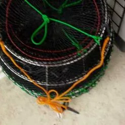 KUFA HARNESS Or BRIDLE FOR SPORT TRAPS