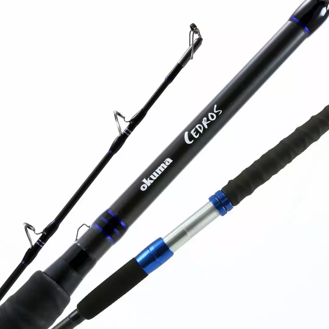 Rods/Reels Okuma Cedros CJ-C-661 Rod 2 Rods/Reels Okuma Cedros CJ-C-661 Rod