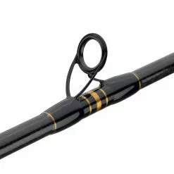 Penn Carnage II Boat Conventional Rod Rods/Reels