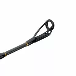 Penn Carnage II Boat Conventional Rod Rods/Reels