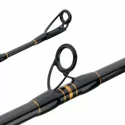 Penn Carnage II Boat Conventional Rod Rods/Reels