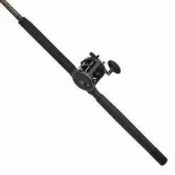 Penn Squall II Level Wind Combo SQLII30LW2050C66 Rods/Reels