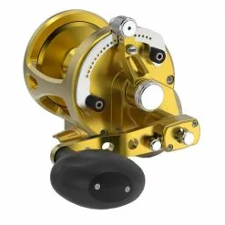 Rods/Reels Avet LX6/3 G2 Lever Drag Casting Reel 5 Rods/Reels Avet LX6/3 G2 Lever Drag Casting Reel